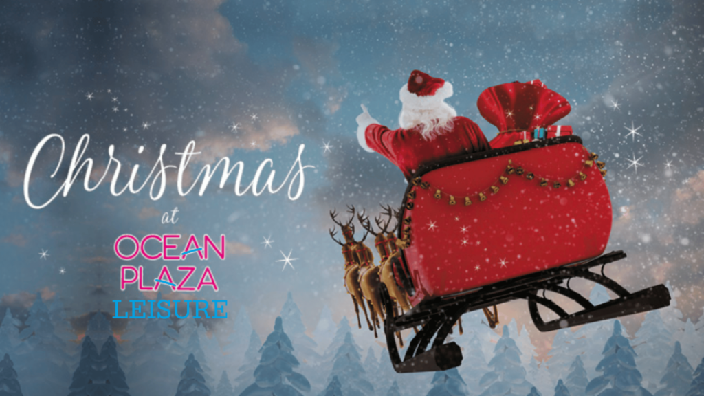 Image of Santa in his sleigh